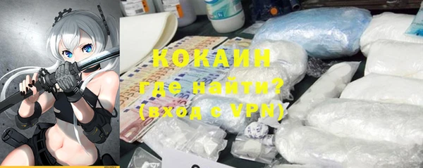 индика Верея