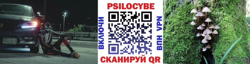 Купить где  Канаш  Псилоцибиновые грибы Psilocybine cubensis 